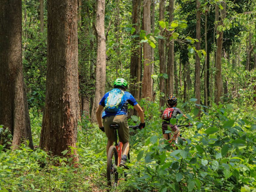 Chiang Mai: Boat Ride and Cycling Tour to Sticky Waterfall - Key Highlights That Make This Tour Worth Your Time