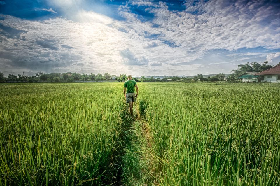 Chiang Mai: Countryside Adventure by Bike - Rolling Out of Lamphun: Orchards, Canals, and the Pre-Lunch Slowdown