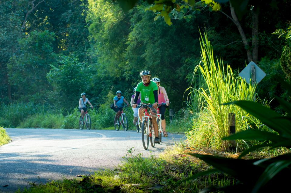 Chiang Mai Countryside E-bike Ride with Expert Guide & Lunch - Umong Forest Temple Tunnels: A Quiet, Different Kind of Wow