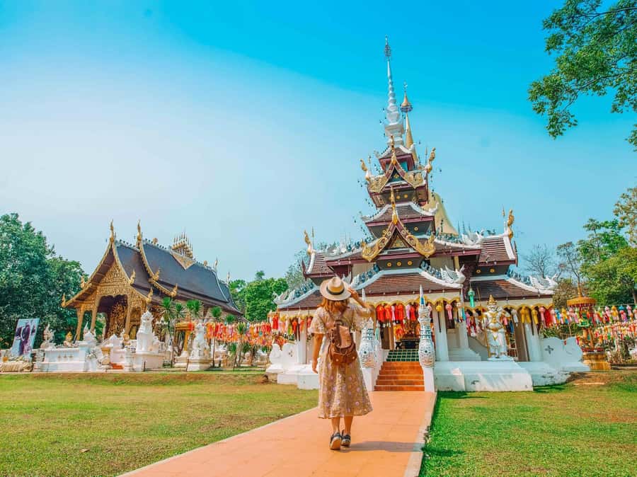 Chiang Mai: Customizable Chiang Mai Surrounding Areas Tour - Price and what you’re really paying for ($119 for 10 hours)