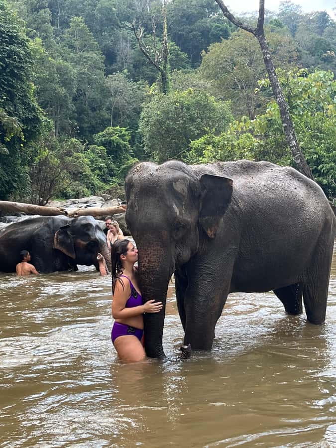 Chiang Mai: Doi Inthanon and Elephant Sanctuary Tour - Twin Royal Pagodas for Views, Photos, and a Bit of Ceremony
