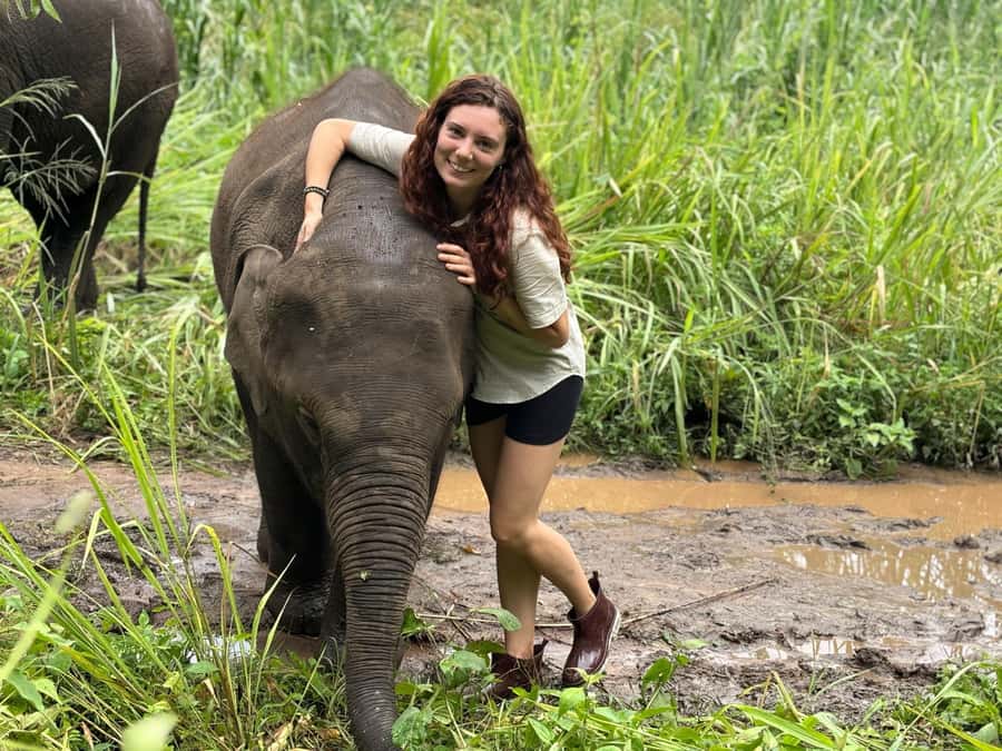 Chiang Mai: Doi Inthanon and Elephant Sanctuary Tour - The Ancient Fern Forest Trail: A Walk That Breaks Up the Driving