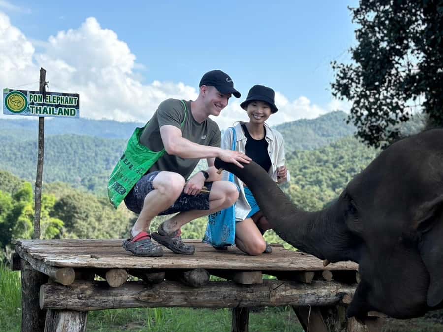Chiang Mai: Doi Inthanon and Elephant Sanctuary Tour - The Forest Hike With Elephants: Close, But Not Chaotic