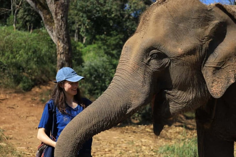 Chiang Mai: Doi Inthanon Hiking & Elephant Sanctuary Program - How the day runs: 7:00 to 19:00 and why timing matters