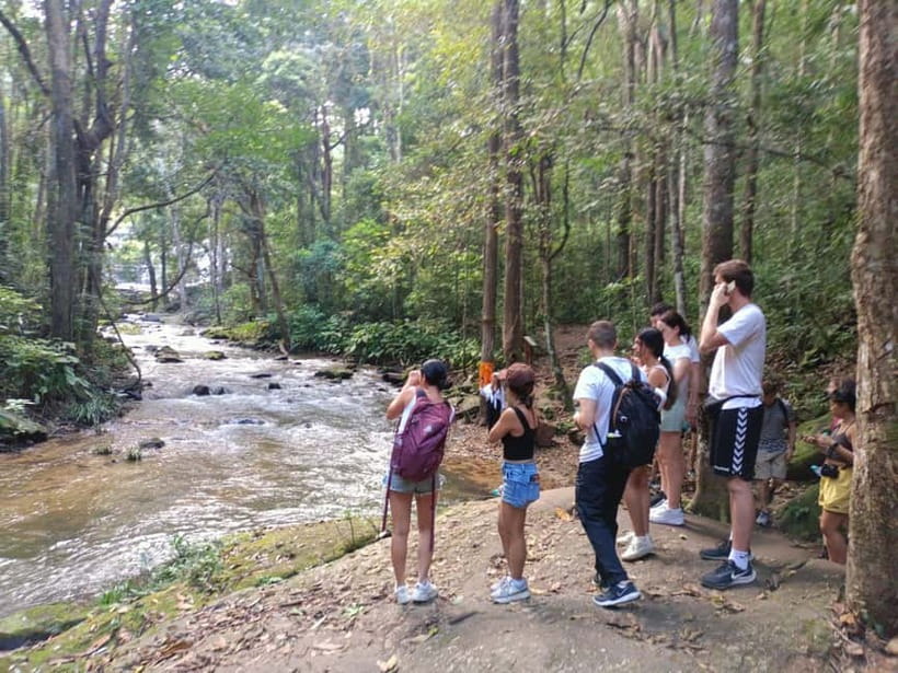 Chiang Mai: Doi Inthanon Hiking & Elephant Sanctuary Program - Lunch and energy: the Pad Thai stop you’ll appreciate on a cold mountain day