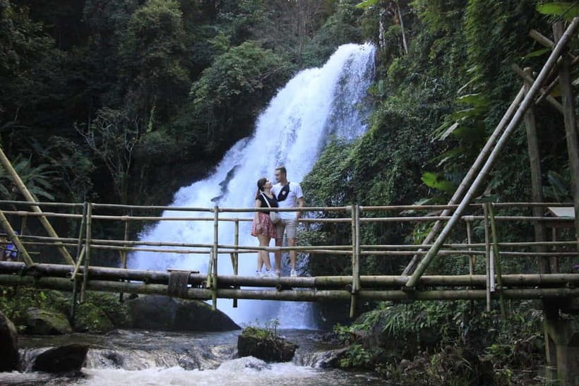 Chiang Mai: Doi Inthanon Hiking & Elephant Sanctuary Program - Doi Inthanon National Park: the summit views and the Twin Pagodas