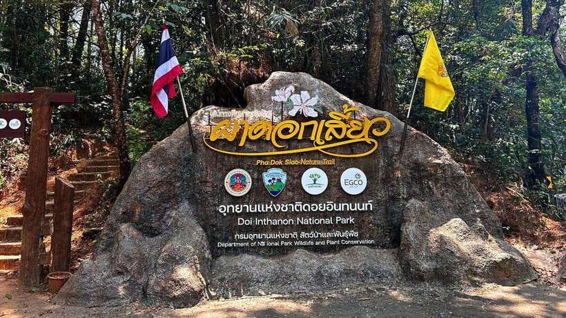 Chiang Mai: Doi Inthanon National Park and Pha Dok Siew Trek - Key points to know before you go