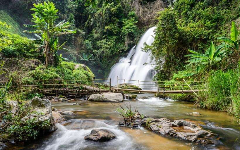 Chiang Mai: Doi Inthanon National Park and Pha Dok Siew Trek - Twin Pagodas: gardens, viewpoint energy, and real spiritual use