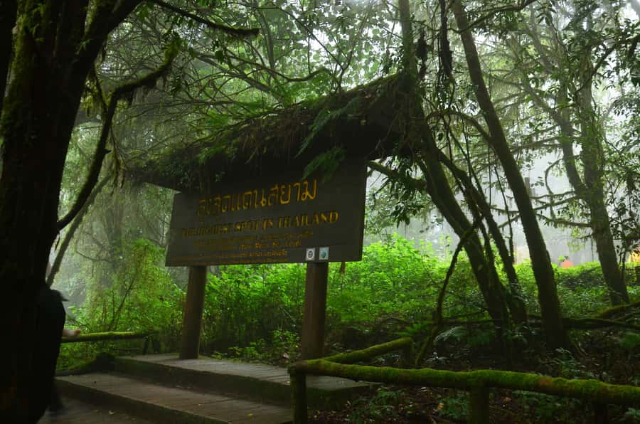 Chiang Mai: Doi Inthanon National Park Private Tour - From Hotel Pickup to The Roof of Thailand