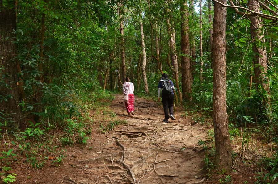 Chiang Mai: Doi Inthanon National Park Private Tour - Karen Hill Tribe Village and Market: Culture Stop With Context