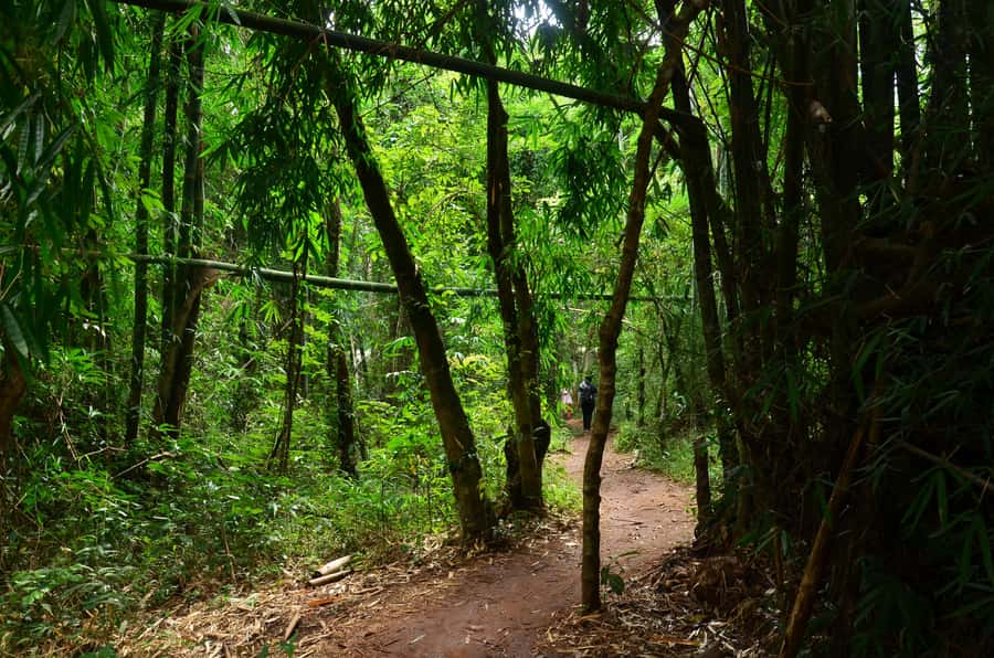 Chiang Mai: Doi Inthanon National Park Private Tour - English Guide + Private Format: The Real Comfort Factor