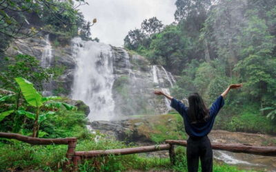 Chiang Mai: Doi Inthanon National Park Sightseeing Only - Getting picked up in Chiang Mai and surviving the mountain roads