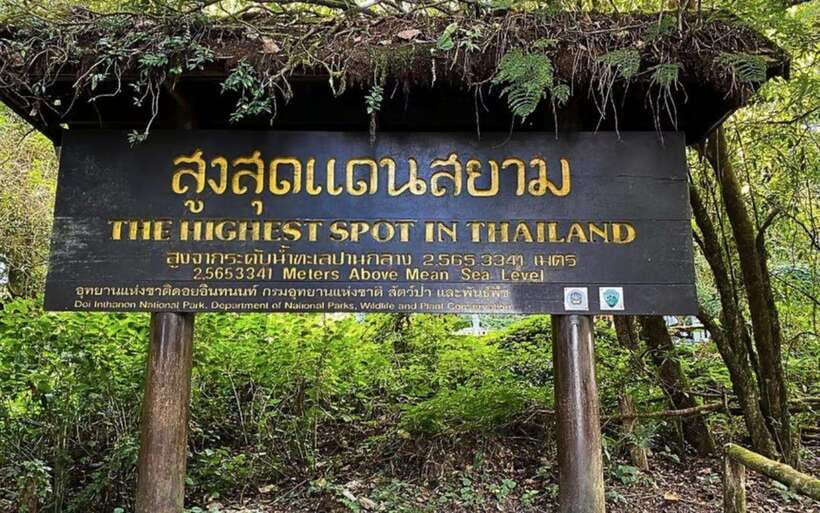 Chiang Mai: Doi Inthanon National Park Sightseeing Only - Doi Inthanon National Park: highest mountain energy (without the long hike)