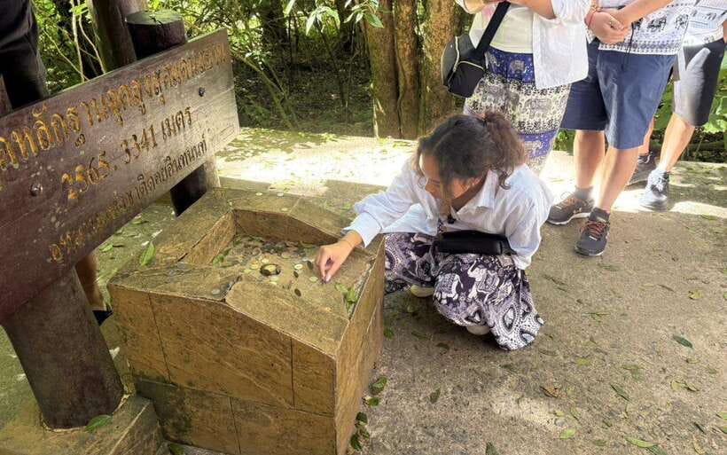 Chiang Mai: Doi Inthanon National Park Sightseeing Only - Ang Ka Luang Nature Trail: the best “break from cars” moment