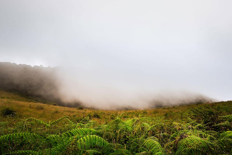 Chiang Mai: Doi Inthanon National Park, Waterfall & Lunch - Guides can make or break the day