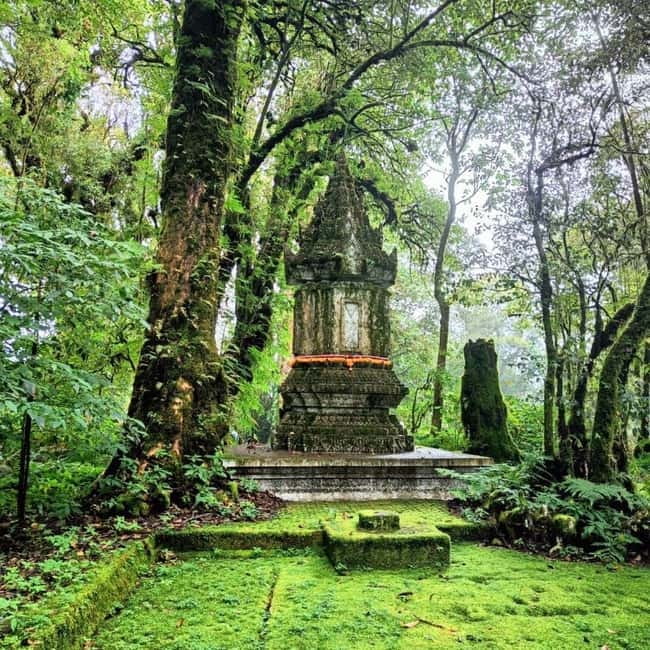 Chiang Mai: Doi Inthanon National Park+Trek Pha Dok Siew - Pha Dok Siew Nature Trail With a Hilltribe Guide