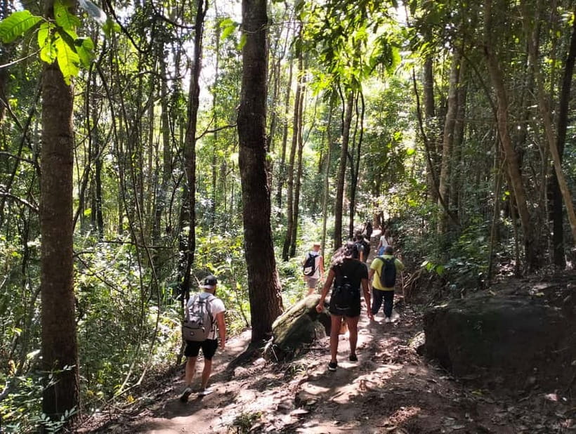 Chiang Mai: Doi Inthanon National Park+Trek Pha Dok Siew - Who This Tour Fits Best (and Who Should Skip It)