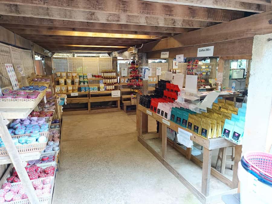Chiang Mai: Doi Inthanon One-Day Tour with a Private Driver - Chiang Mai to Doi Inthanon, the comfortable way