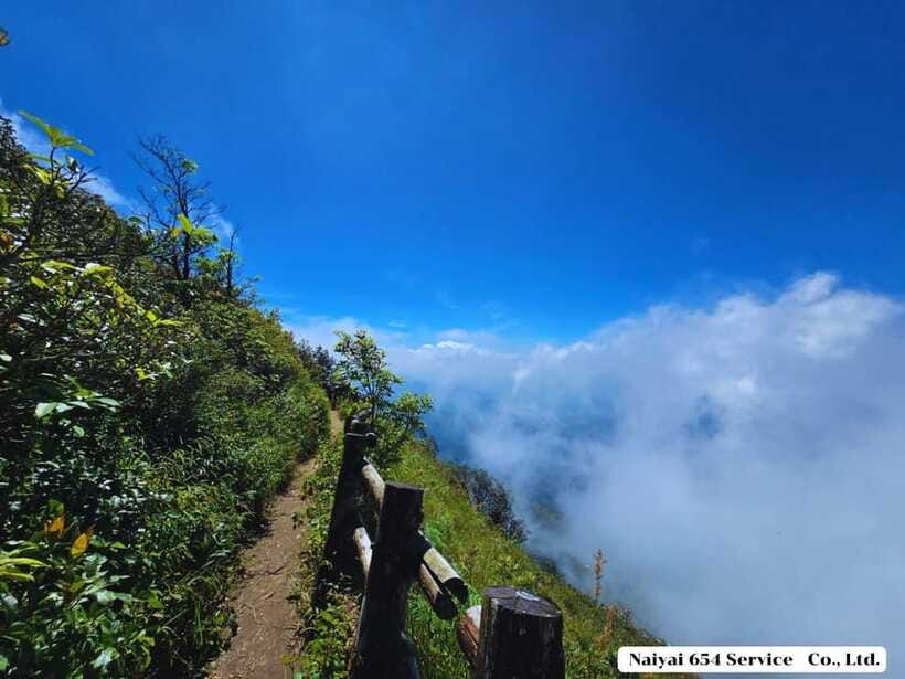 Chiang Mai: Doi Inthanon One-Day Tour with a Private Driver - Lunch and entrance fees: budgeting the extra costs