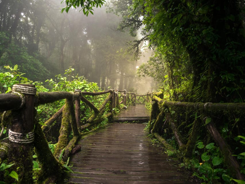 Chiang Mai: Doi Inthanon Park and Pha Dok Siew Trail Trek - Wachirathan Waterfall: the payoff at the end of the day