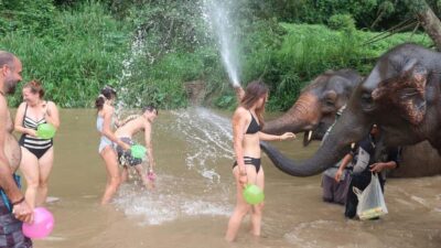 Chiang Mai: Doi Inthanon Park Hiking & Elephants Sanctuary - Morning logistics from Chiang Mai: what matters and what doesn’t