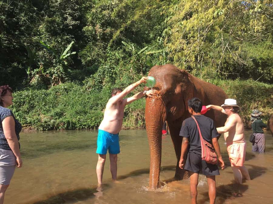 Chiang Mai: Doi Inthanon Park Hiking & Elephants Sanctuary - Pha Dok Siew Nature Trail: the hike that strings it together