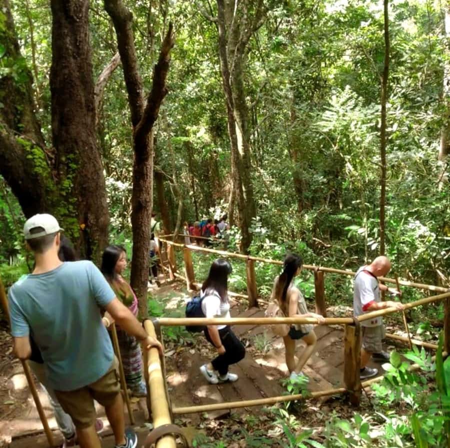 Chiang Mai: Doi Inthanon Park Hiking & Elephants Sanctuary - Baan Mae Klang Luang coffee tasting: a real taste of mountain life