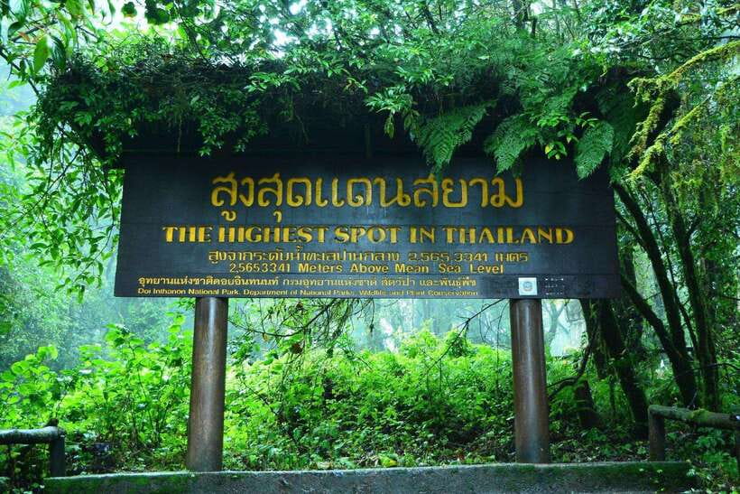 Chiang Mai: Doi Inthanon Park Tour & Kew Mae Pan Trail Hike - Royal stops: King and Queen’s Pagodas and why they’re worth your time