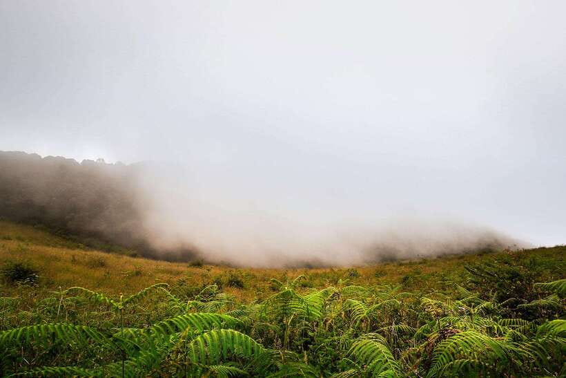 Chiang Mai: Doi Inthanon Park Tour & Kew Mae Pan Trail Hike - Waterfalls, viewpoints, and Thailand’s highest point in one rhythm