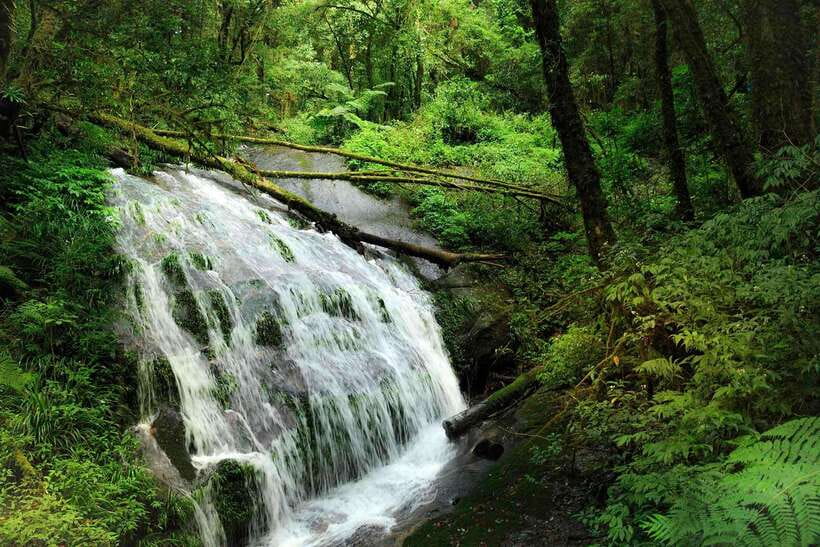 Chiang Mai: Doi Inthanon Park Tour & Kew Mae Pan Trail Hike - Small group size: why it matters on a packed itinerary