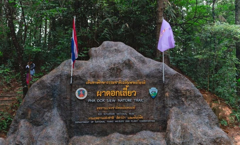 Chiang Mai: Doi Inthanon Trip with Pha Dok Siew Guided Trek - Key things you’ll notice on this Doi Inthanon day