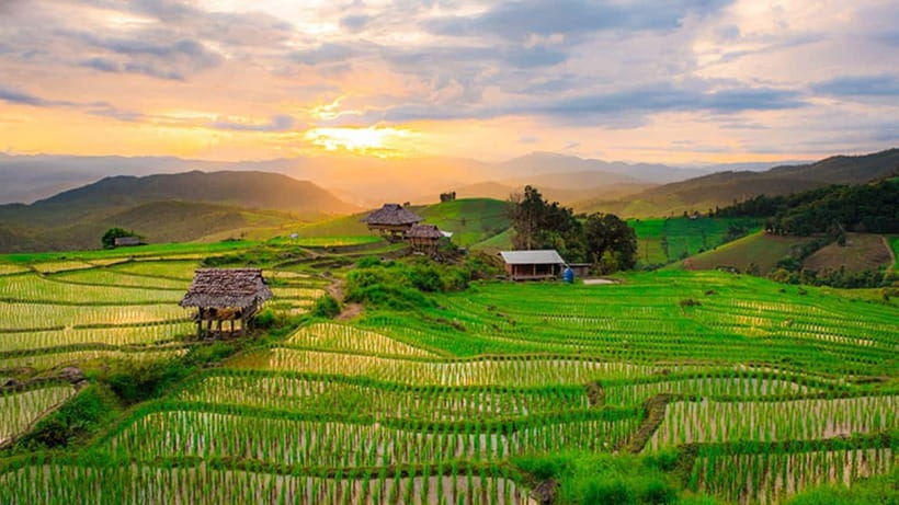 Chiang Mai: Doi Inthanon Trip with Pha Dok Siew Guided Trek - Best time to go: rice fields, rainfall, and what your eyes want