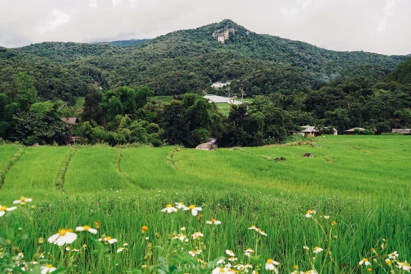 Chiang Mai: Doi Inthanon Trip with Pha Dok Siew Guided Trek - Karen Village and hill tribe stops: what to expect and how to respect it