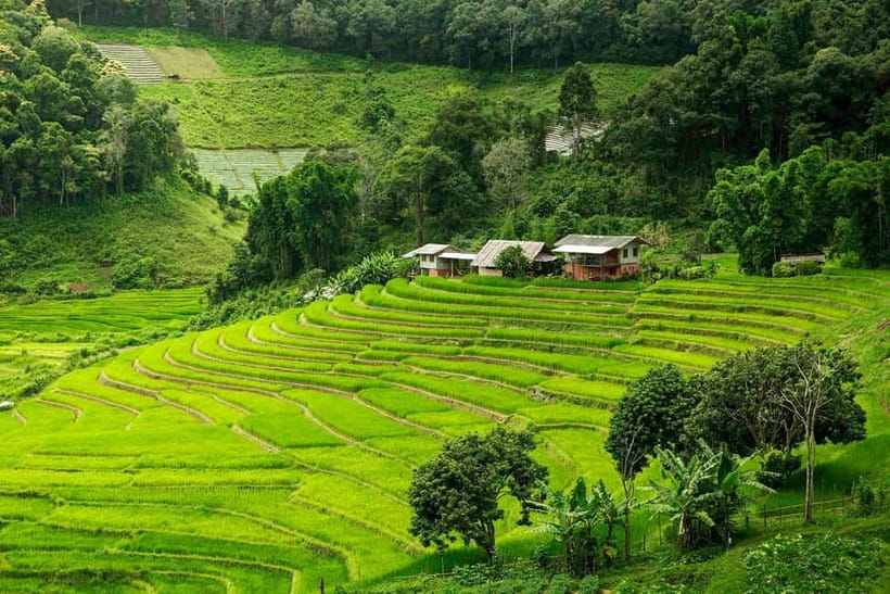 Chiang Mai: Doi Inthanon Trip with Pha Dok Siew Guided Trek - Pagodas, waterfalls, viewpoints, and Thailand’s highest point
