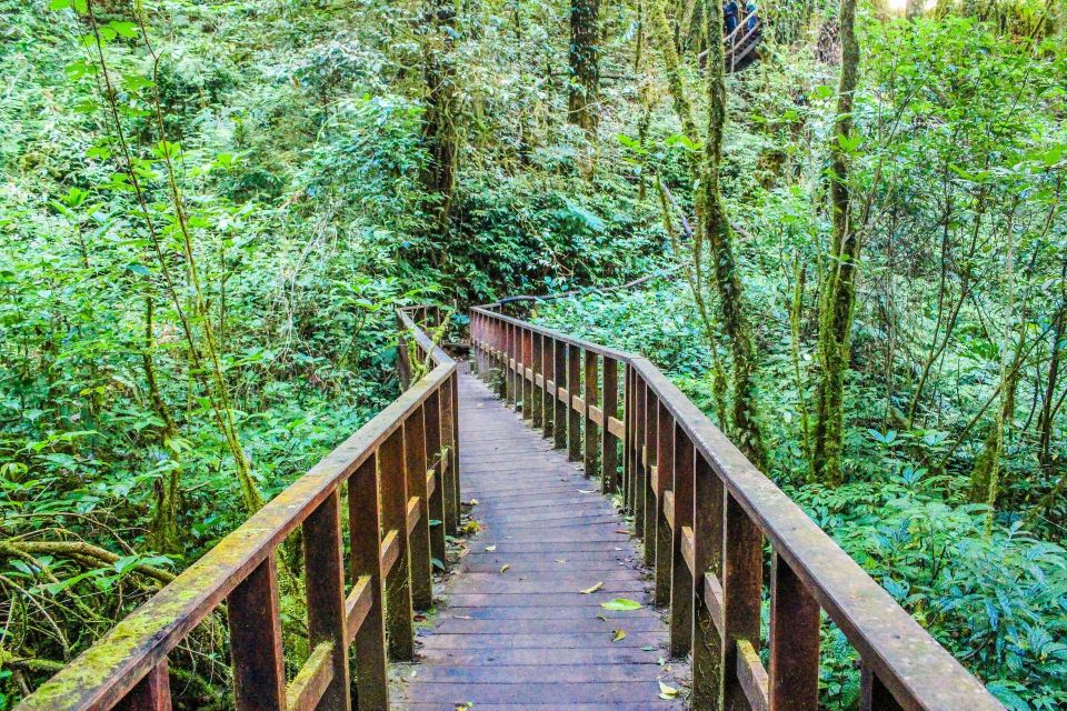 Chiang Mai: Doi Inthanon, Waterfalls, & Tribal Villages Tour - Who should book this, and who should skip it