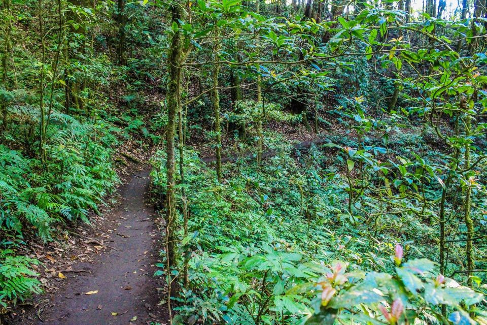 Chiang Mai: Doi Inthanon, Waterfalls, & Tribal Villages Tour - Guides like Bobo, Choo, PJ, Ping, and Nammy make the day
