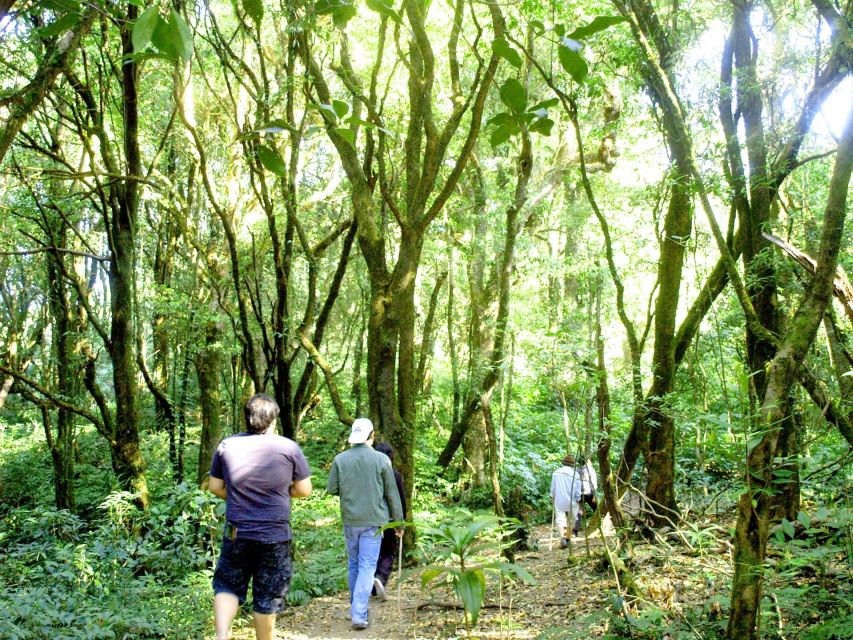 Chiang Mai: Doi Inthanon, Waterfalls, & Tribal Villages Tour - Price value at $36 plus the fees you still need to budget