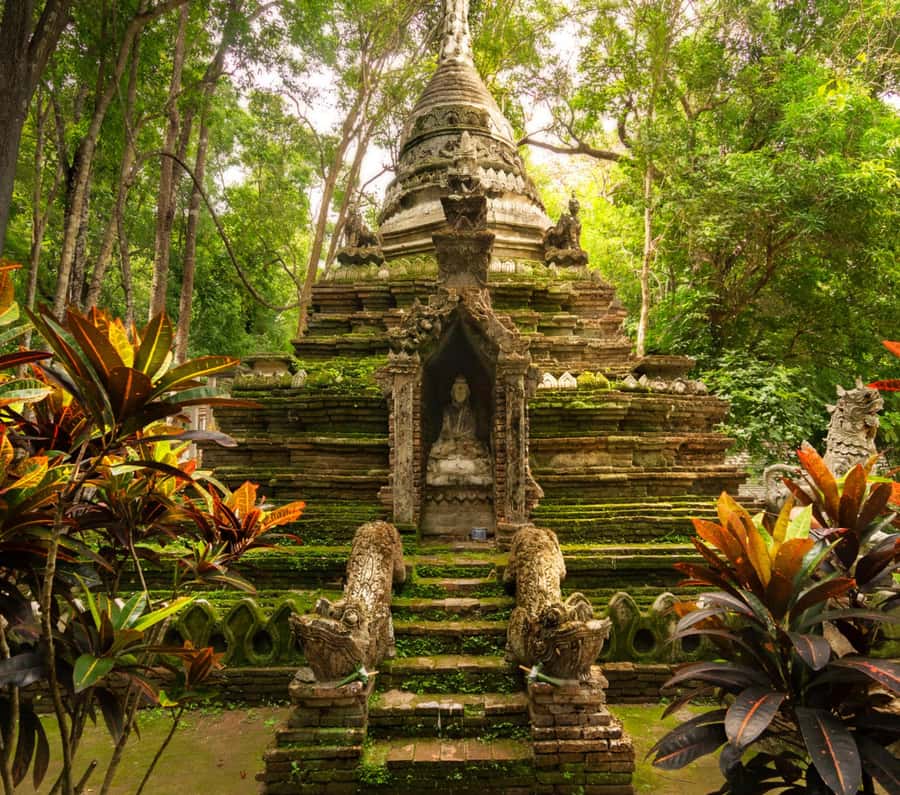 Chiang Mai: Doi Suthep Temple & Sticky Waterfall Trip - Morning Pickup to Old City Start: how the timing sets the tone