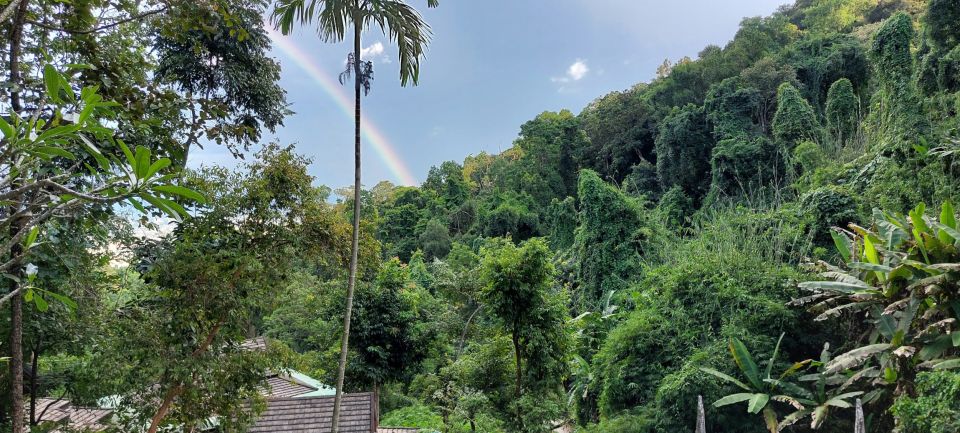 Chiang Mai: Doi Suthep Temple & Sticky Waterfall Trip - Bua Thong Sticky Waterfalls: the climbing part is real