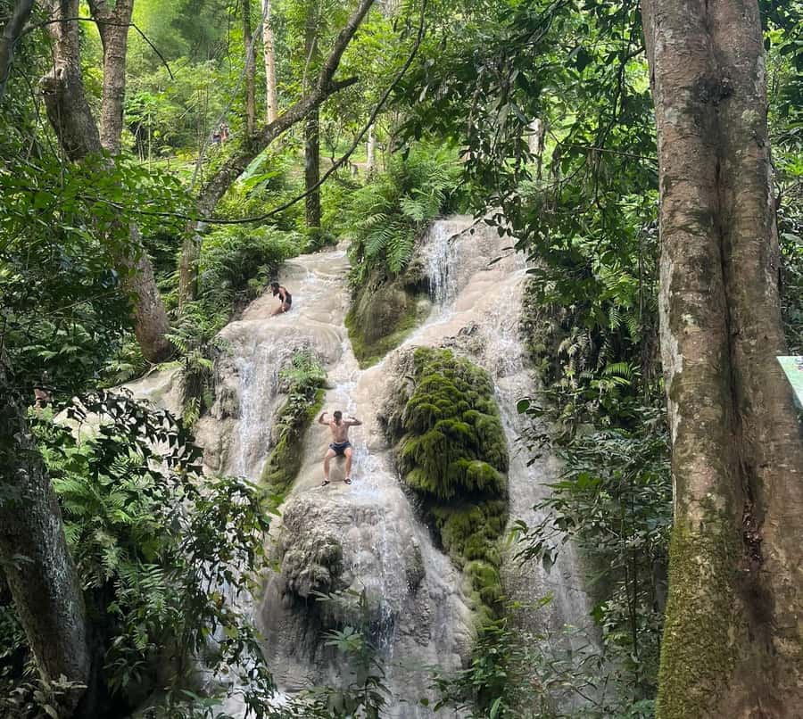 Chiang Mai: Doi Suthep Temple & Sticky Waterfall Trip - Lunch along the route: Thai buffet, good energy, some fried odds