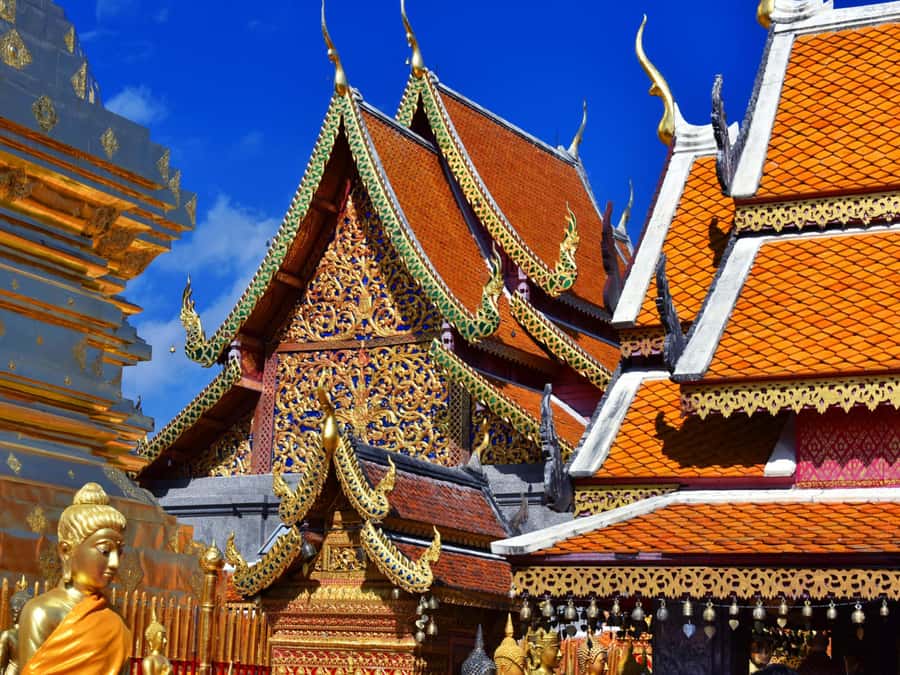 Chiang Mai: Doi Suthep Temple & Sticky Waterfall Trip - Price and value at $76 for a full day