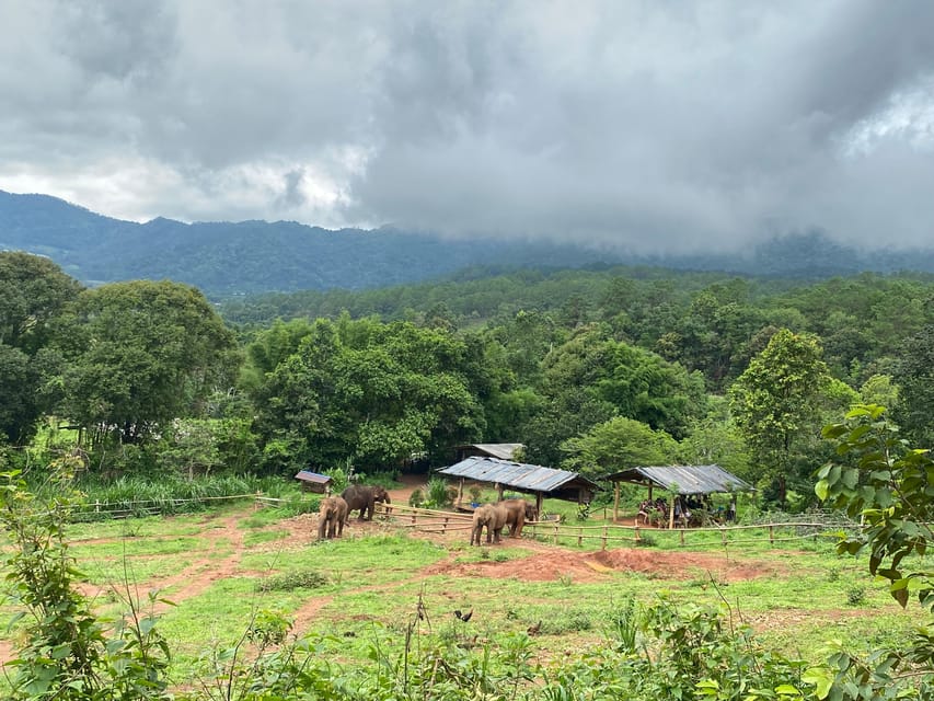 Chiang Mai: Elephant Dream Project Sanctuary - Half-Day - Arriving at 9:30: introductions, purpose, and how to read what you’re seeing