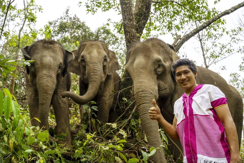 Chiang Mai: Elephant Dream Project Sanctuary - Half-Day - River time, bathing observations, and what you should expect for photos