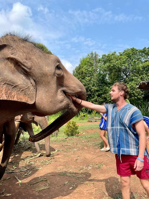Chiang Mai: Elephant Dream Project Sanctuary - Half-Day - Morning pickup and the mountain drive out of Chiang Mai city