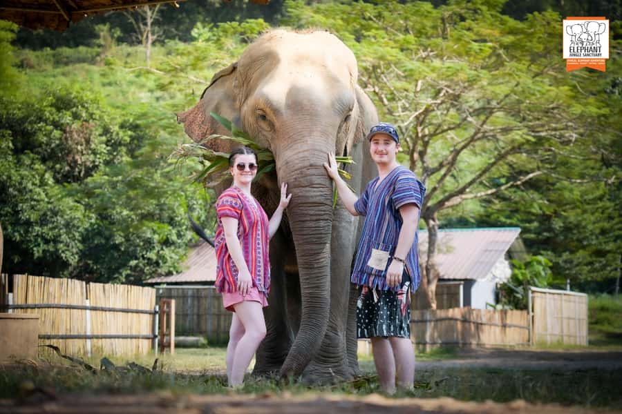 Chiang Mai: Elephant Jungle Sanctuary with Lunch & Transfer - Elephant Jungle Sanctuary in Chiang Mai: why this experience works