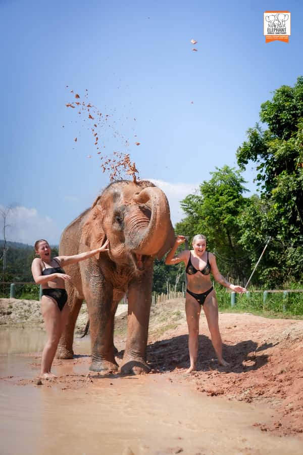 Chiang Mai: Elephant Jungle Sanctuary with Lunch & Transfer - Getting picked up from Chiang Mai: timing and comfort basics