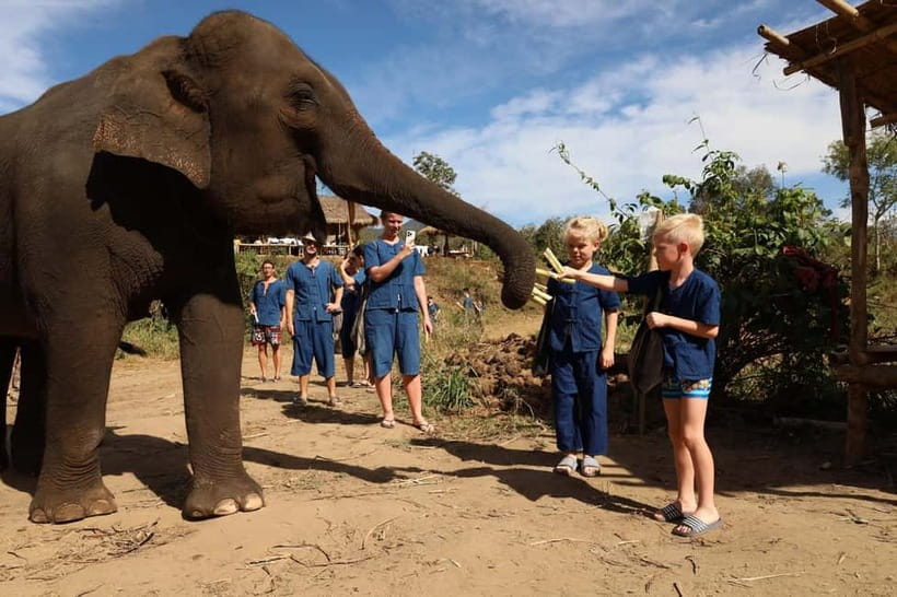 Chiang Mai: Elephant Sanctuary & Bamboo Rafting - Key highlights to know before you go