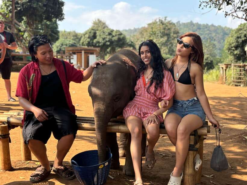 Chiang Mai: Elephant Sanctuary Feeding Program Half-Day Tour - Key things I’d factor in first