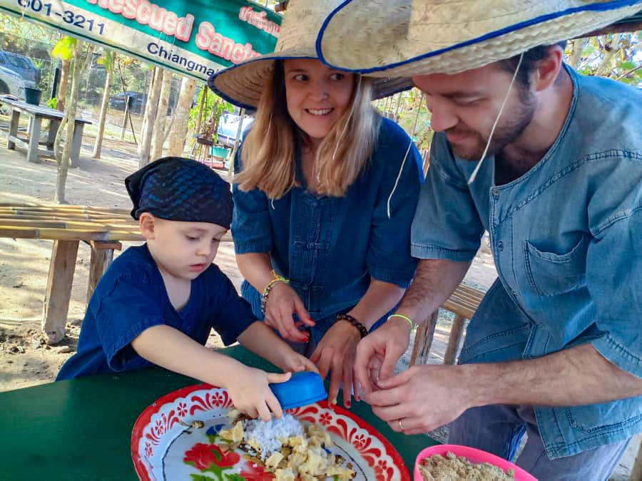 Chiang Mai: Elephant Sanctuary Guided Tour in Spanish - Key takeaways before you go