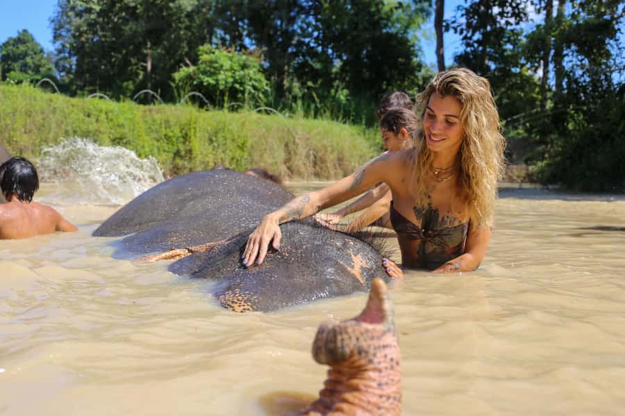 Chiang Mai: Elephant Sanctuary Guided Tour in Spanish - Who this tour is perfect for